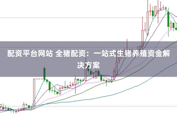 配资平台网站 全猪配资：一站式生猪养殖资金解决方案