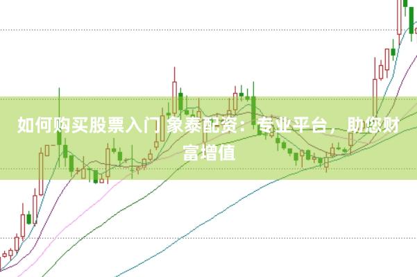 如何购买股票入门 象泰配资：专业平台，助您财富增值
