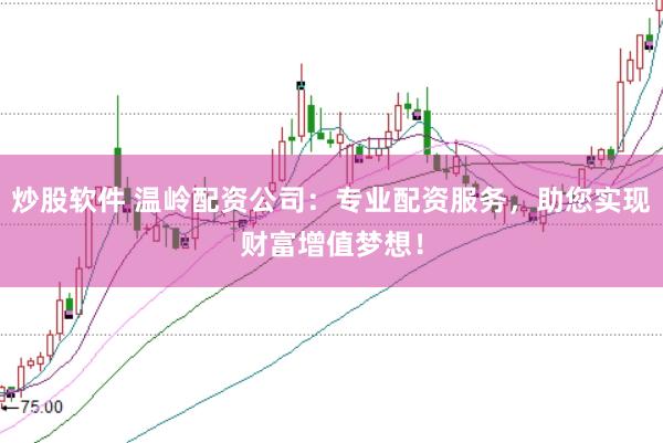 炒股软件 温岭配资公司：专业配资服务，助您实现财富增值梦想！