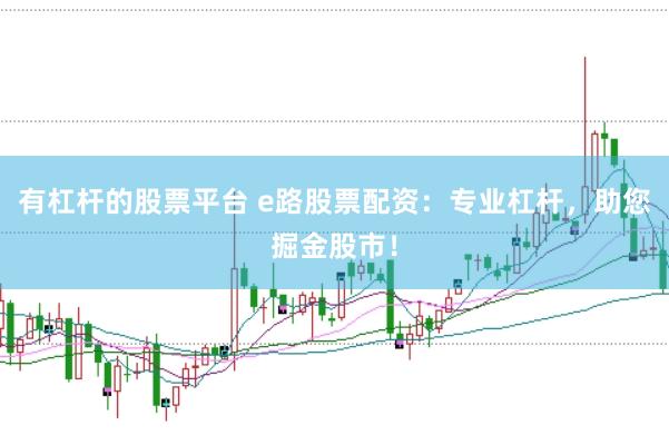 有杠杆的股票平台 e路股票配资：专业杠杆，助您掘金股市！