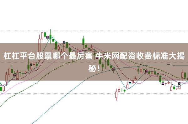 杠杠平台股票哪个最厉害 牛米网配资收费标准大揭秘！