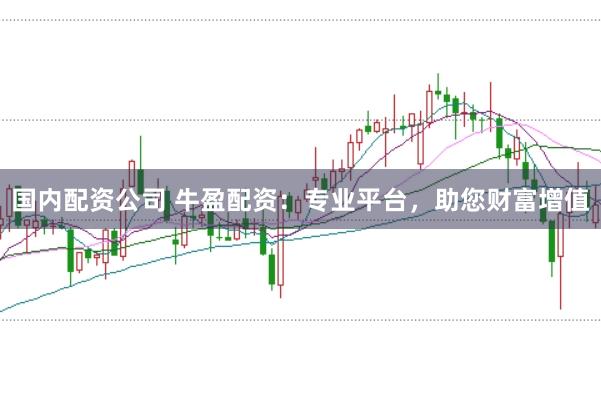 国内配资公司 牛盈配资：专业平台，助您财富增值