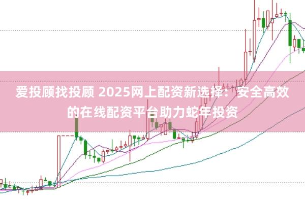 爱投顾找投顾 2025网上配资新选择：安全高效的在线配资平台助力蛇年投资
