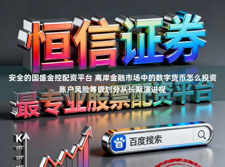 安全的国盛金控配资平台 离岸金融市场中的数字货币怎么投资账户风险等级划分从长期演进视