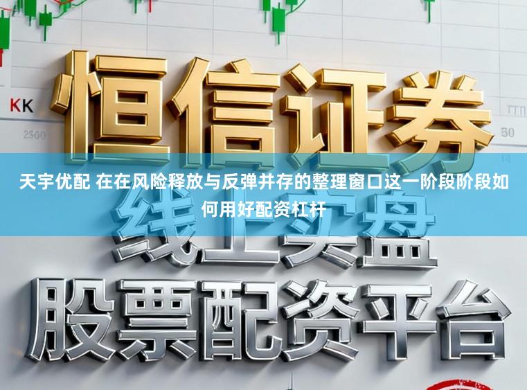天宇优配 在在风险释放与反弹并存的整理窗口这一阶段阶段如何用好配资杠杆