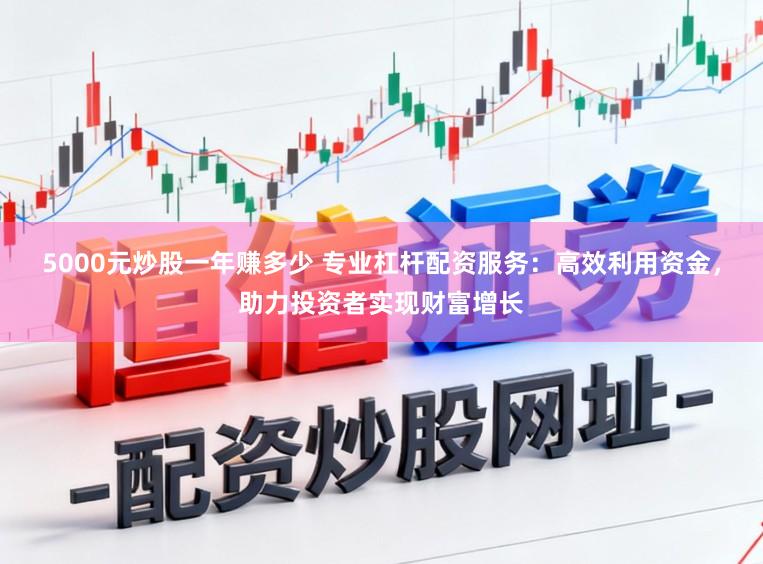5000元炒股一年赚多少 专业杠杆配资服务：高效利用资金，助力投资者实现财富增长